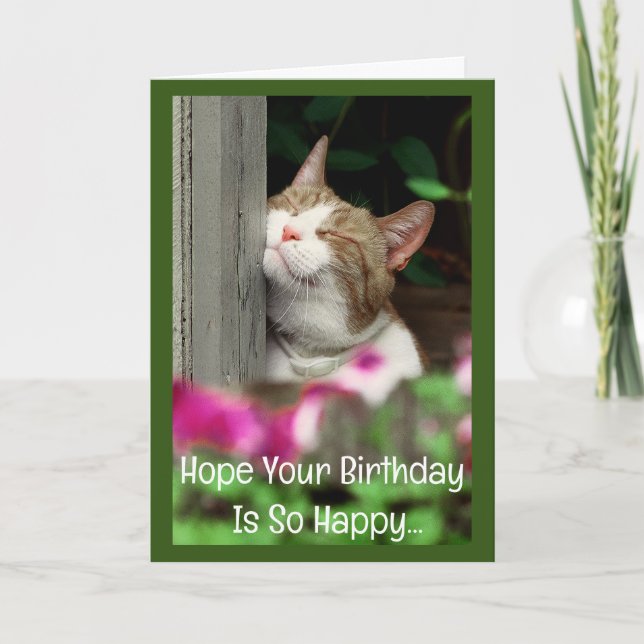 Happy Cat Birthday Card Karte (Vorderseite)