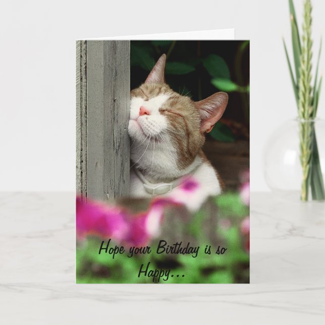 Happy Cat Birthday Card Karte (Vorderseite)