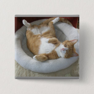 Happy Cat Button
