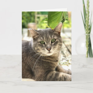 Happy Cat Grußkarte Dankeskarte