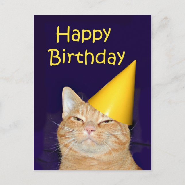 Happy Cat Happy Birthday Postkarte (Vorderseite)