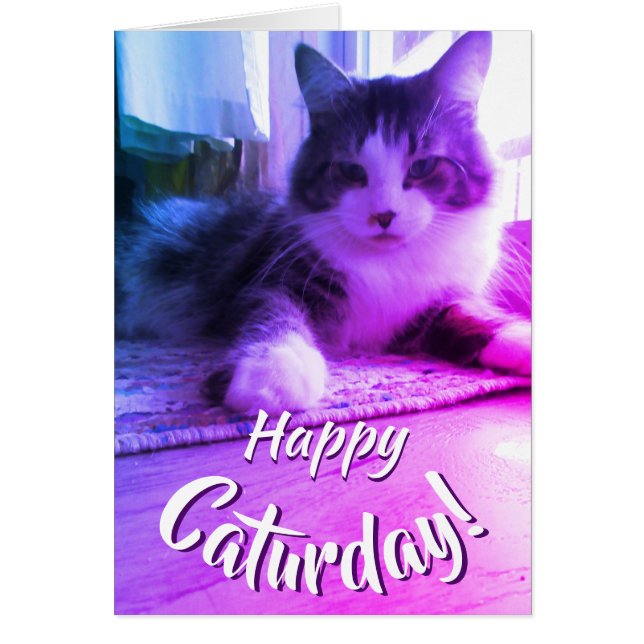 Happy Caturday Niedliche Lila Katze (Vorne)