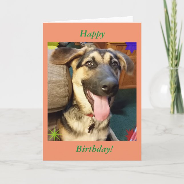 Happy Chien Berger Allemand Carte d'Anniversaire (Devant)