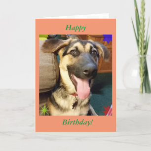 Happy Chien Berger Allemand Carte d'Anniversaire