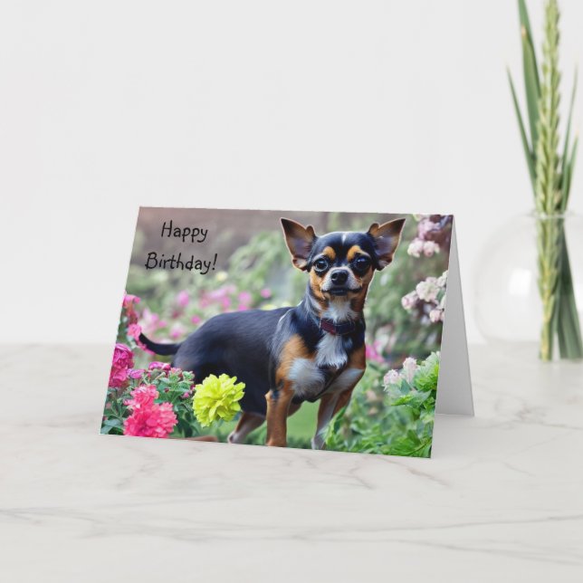 Happy Chihuahua Birthday Card Karte (Vorderseite)