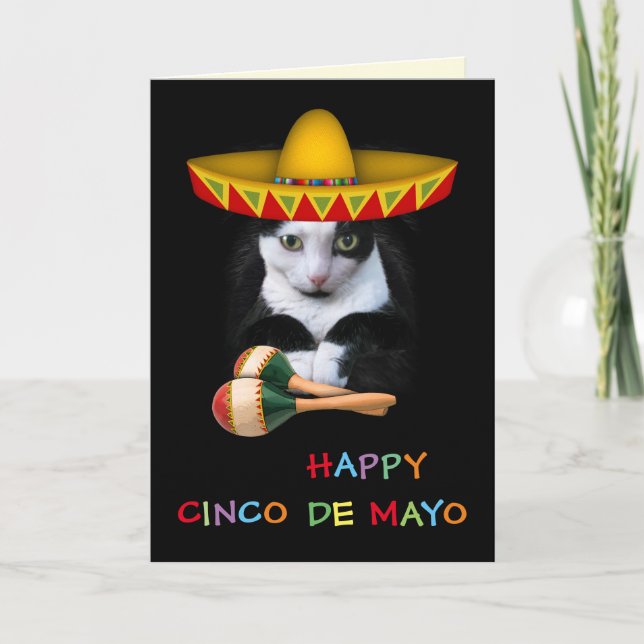 Happy Cinco De Mayo Cat Karte (Vorderseite)