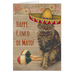 Happy Cinco de Mayo Cat mit mexikanischem Hut