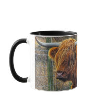 Happy Coosday für Sie