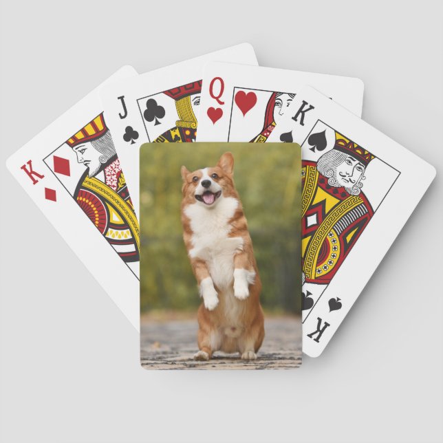 Happy Corgi Puppy Standing Photo Spielkarten (Rückseite)