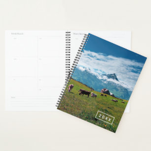 Happy Cows on Farm in Switzerland Planer