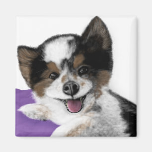 Happy Dog Face Magnet