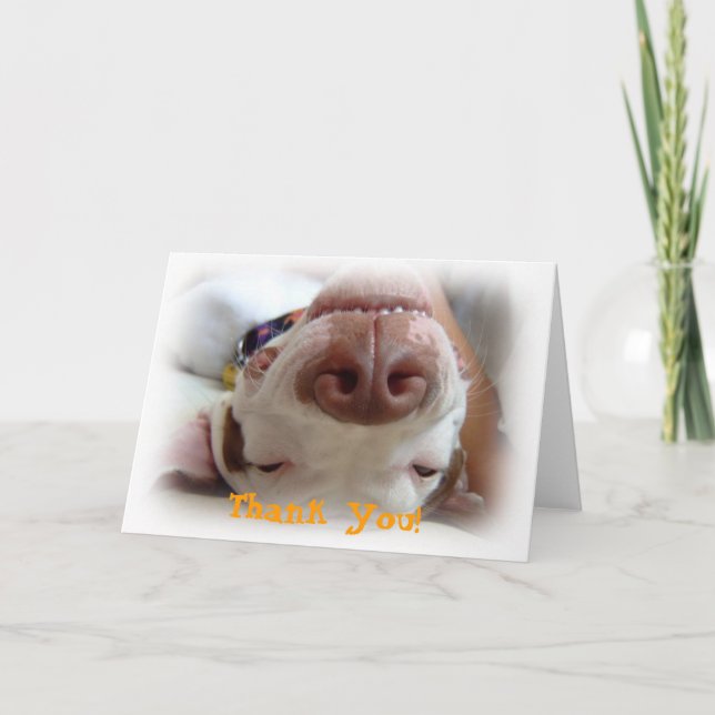 Happy Dog Merci (Devant)