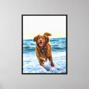 Happy Dog Playing by Ocean Joyful Beach Leinwanddruck
