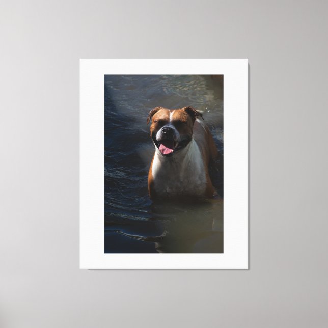 Happy Dog Swimming Leinwanddruck (Vorderseite)