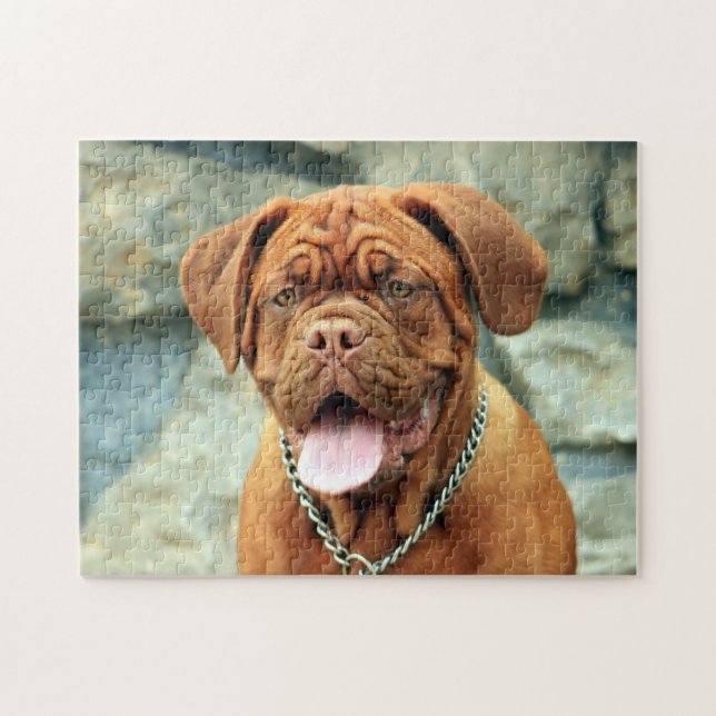 Happy Dogue de Bordeaux (Horizontal)