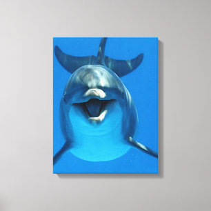 Happy Dolphin Canvas Print Leinwanddruck