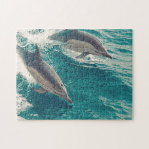 Happy Dolphins
