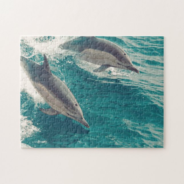 Happy Dolphins (Horizontal)