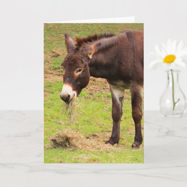 Happy Donkey Birthday Karte (Kleine Pflanze)