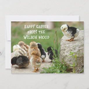 Happy Easter Baby Chicks Grußkarte Einladung