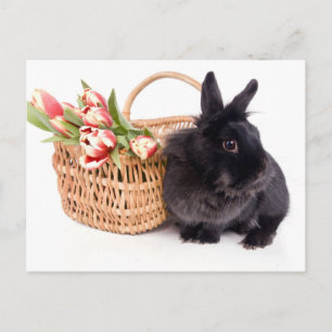 Happy Easter Feiertagspostkarte