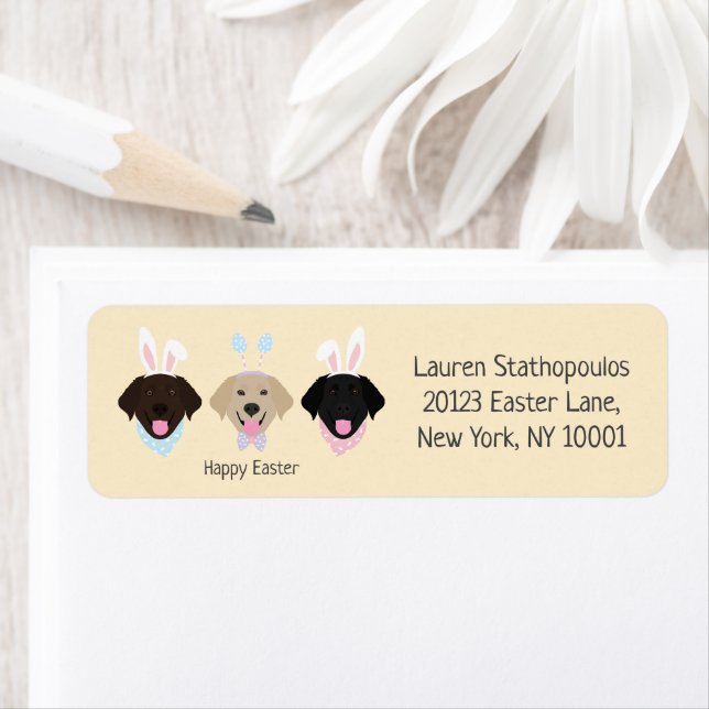 Happy Easter Labrador Retriever Hunde (Insitu)