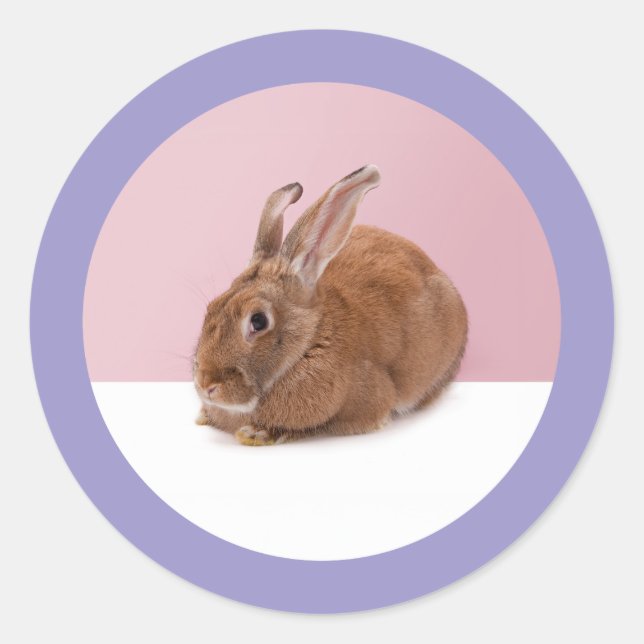 Happy Easter Runder Aufkleber (Vorderseite)