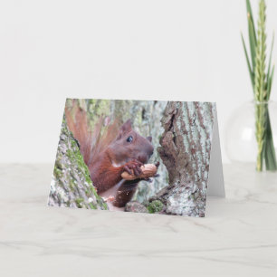 Happy Eichhörnchen Grußkarte Karte