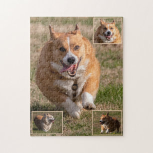 Happy Faces Running Corgis