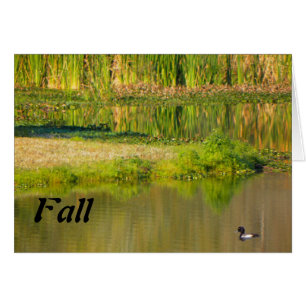 Happy Fall, Teich mit Ente
