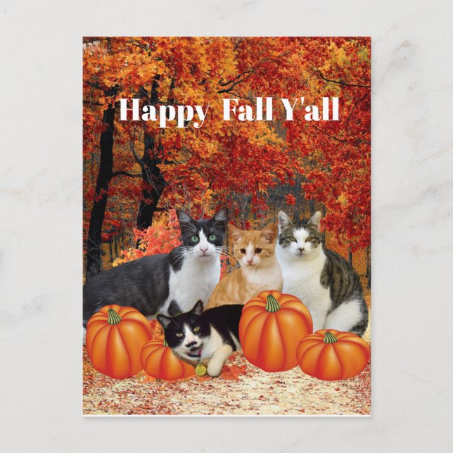 Happy Fall Y'all Cats and Pumpkins Postkarte (Vorderseite)