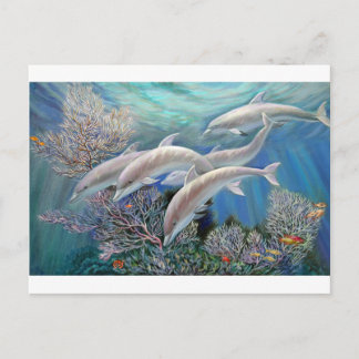 Happy_Family_-_Dolphins_Are_Awesome.JPG Postkarte