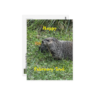 Happy February 2nd Custom Groundhog Postcards Postkarte