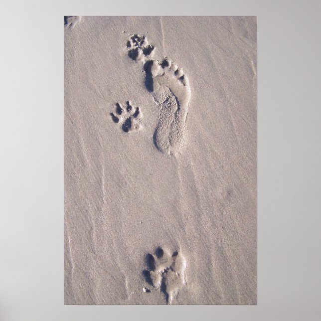 Happy Feet Poster (Vorne)