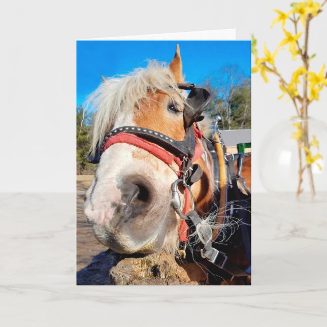 Happy Friendly Horse Birthday Karte (Gelbe Blume)