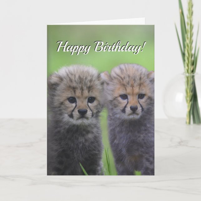 Happy Geburtstag Niedlichen Cheetah Sibling Cubs Karte (Vorderseite)