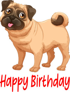 Grusskarten Alles Gute Zum Geburtstag Mops Redbubble