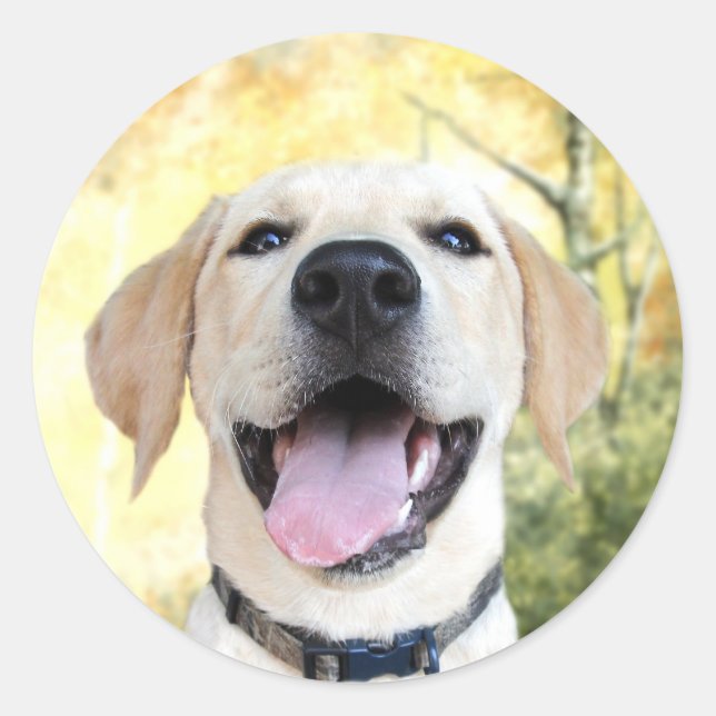 Happy Gelbe Labrador Runder Aufkleber (Vorderseite)