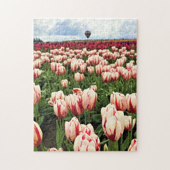 Happy Generation Tulip Field, Oregon (Vertikal)