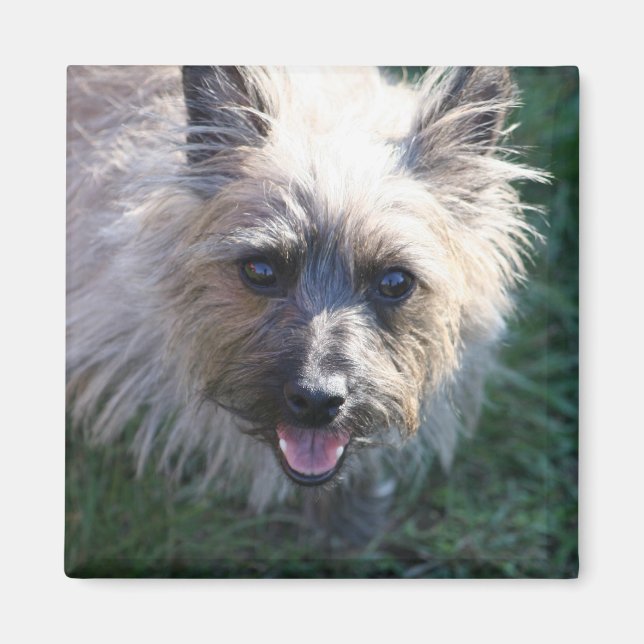 Happy Girl Magnet (Vorne)