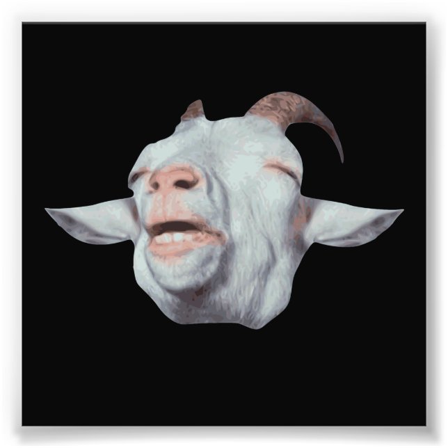 Happy Goat ist verblasst Fotodruck (Vorne)