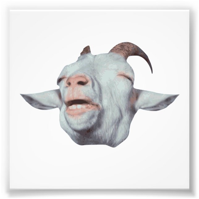 Happy Goat ist verblasst Fotodruck (Vorne)