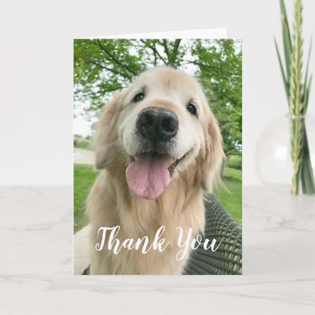 Happy Golden Retriever Dog Vielen Dank Karte (Vorderseite)