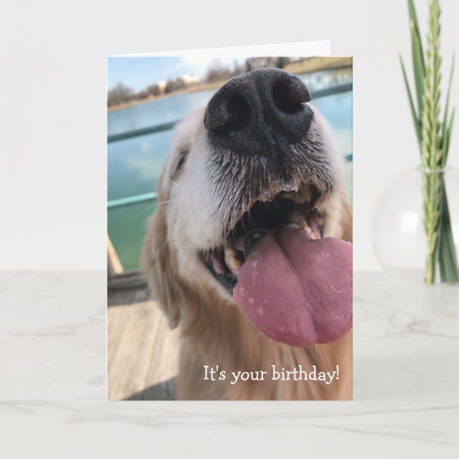 Happy Golden Retriever Geburtstag Karte (Vorderseite)