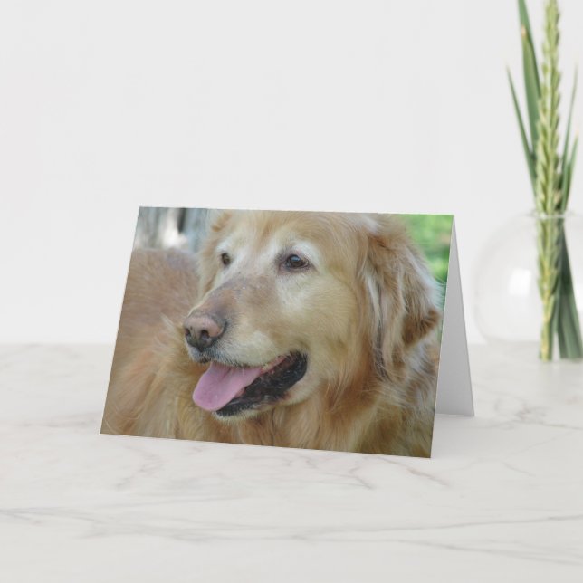 Happy Golden Retriever Karte (Vorderseite)