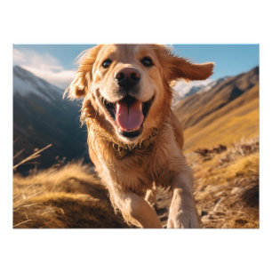 Happy Golden Retriever Running Fotodruck