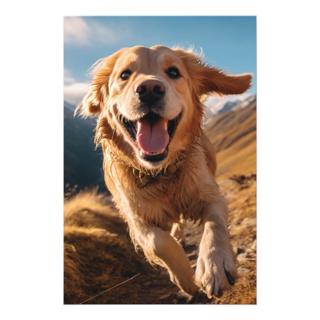 Happy Golden Retriever Running Fotodruck (Vorne)