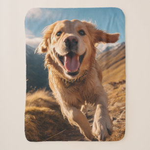 Happy Golden Retriever Running Sherpadecke