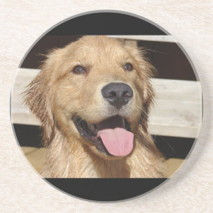 Happy Golden Retriever Sandstein Untersetzer