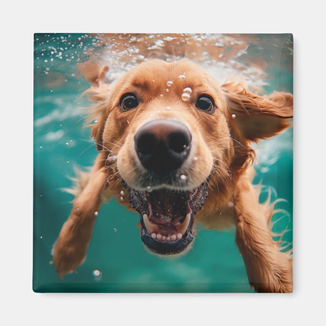 Happy Golden Retriever Schwimmen unter Wasser Magnet (Vorne)